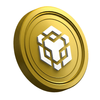 La cryptomonnaie BNB affichée sur la page du guide pour trader novice